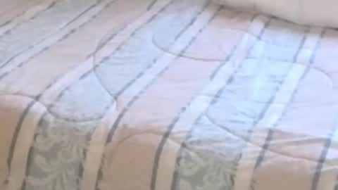 montydxxx2 online show from 02.12.26