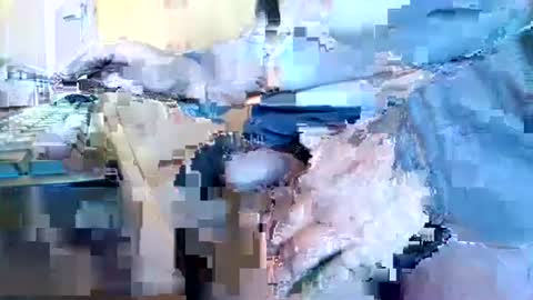 mookie2 online show from 01.11.25