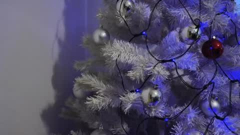   Mona   online show from 12.08.24