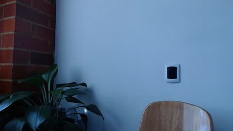 Abelardo online show from 03.20.26