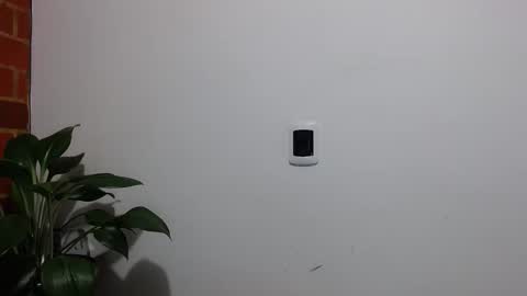 Abelardo online show from 04.06.26