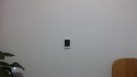 Abelardo online show from 04.16.26