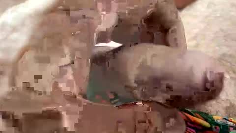 Me online show from 01.07.26