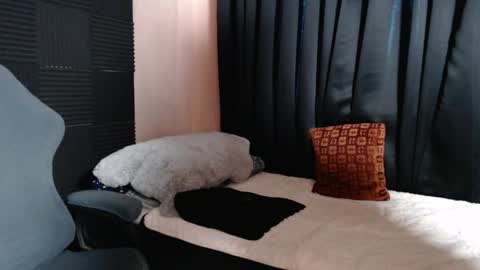 morenojake online show from 04.16.26