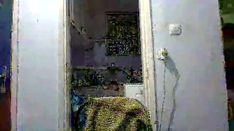 mppempis81 online show from 12.02.25