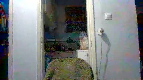 mppempis81 online show from 12.04.25