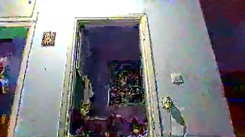 Snapshot of mppempis81 chatting on 01.17.26 mppempis81 online show from 01.17.26