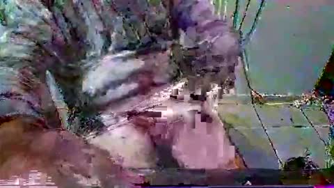 Snapshot of mppempis81 chatting on 01.31.26 mppempis81 online show from 01.31.26