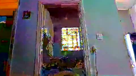 Snapshot of mppempis81 chatting on 02.01.26 mppempis81 online show from 02.01.26