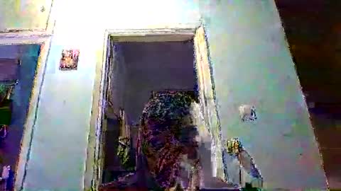 Snapshot of mppempis81 chatting on 02.04.26 mppempis81 online show from 02.04.26