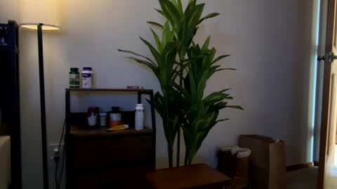 Sequoia-Cocked Hombre de Sur online show from 02.01.26