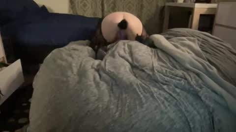 The Honey Pot  Pooh Bear online show from 02.17.26