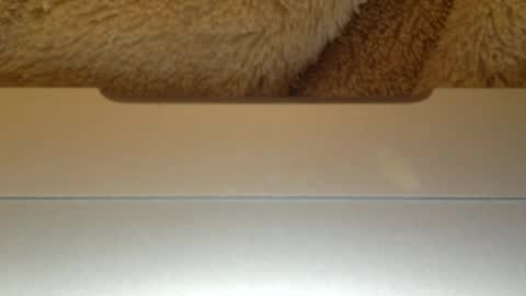 mr_himm online show from 04.23.26