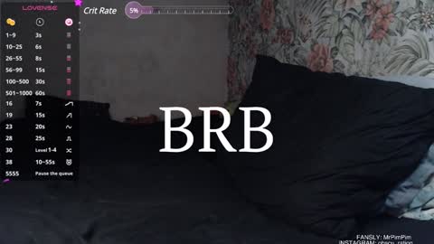 Snapshot of mr_pim_2_0 chatting on 12.29.24 Nikita ------------- online show from 12.29.24