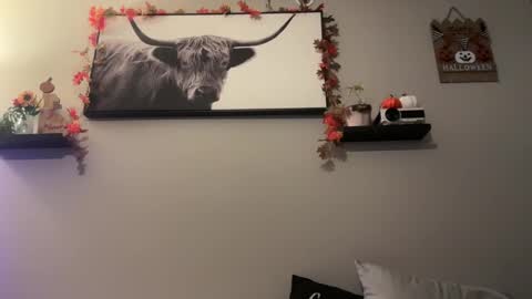 Snapshot of mrandmsbaked chatting on 10.29.25 mrandmsbaked online show from 10.29.25