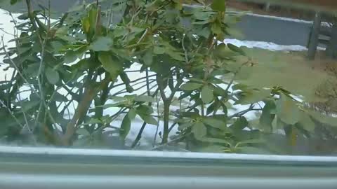 mrbrigggs online show from 01.14.26