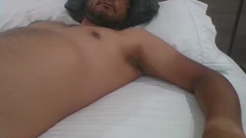 Gato online show from 12.02.24