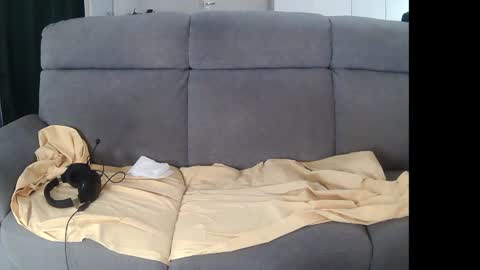 I am Hardy online show from 12.05.24