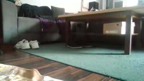 Nikola online show from 02.27.25