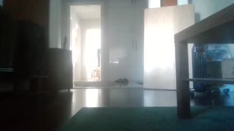 Nikola online show from 02.06.26