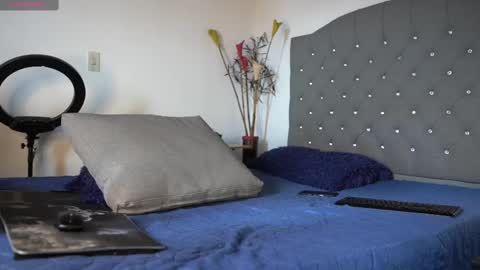 Luis    Instagram   online show from 02.17.25