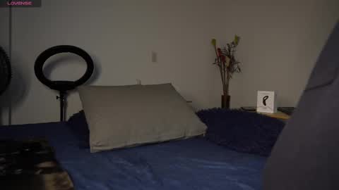 Luis    Instagram   online show from 02.23.25