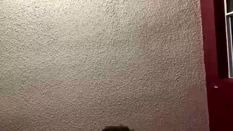 Angel online show from 01.19.26