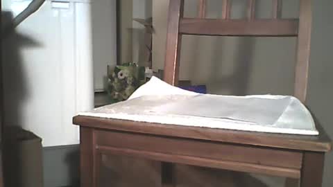 Snapshot of mrroarke chatting on 12.29.24 Longshot online show from 12.29.24