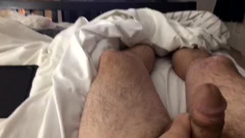 mrrogue online show from 02.26.25