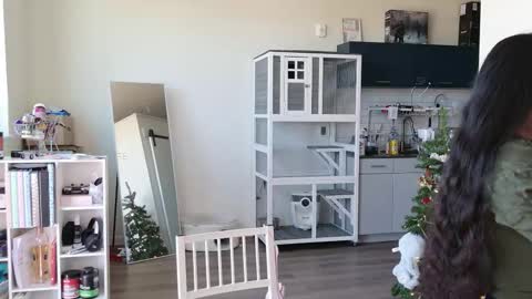 Snapshot of ms_mochii chatting on 10.25.25 R o r i SnapChat heyroriv2 wednesday - sunday Noon oclock mountain - 5pm mountain online show from 10.25.25