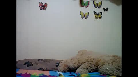 Snapshot of ms_teery chatting on 12.08.24 ms_teery online show from 12.08.24