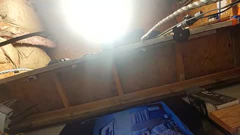 Msivy online show from 02.08.26