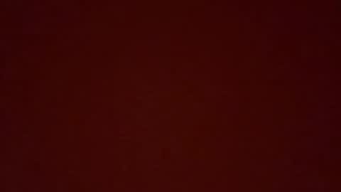 msxina online show from 04.05.26