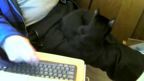 muller520 online show from 03.02.25