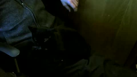 muller520 online show from 03.12.26