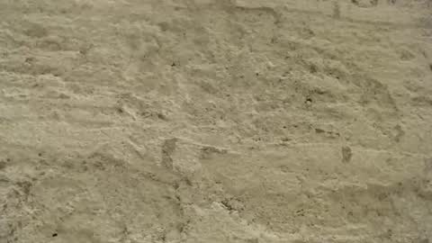 Snapshot of mullty chatting on 12.18.24 Mullty online show from 12.18.24