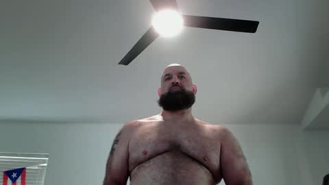 Bearded online show from 05.11.26
