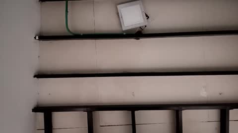 Snapshot of murfialdo chatting on 10.03.25 Sebastian online show from 10.03.25