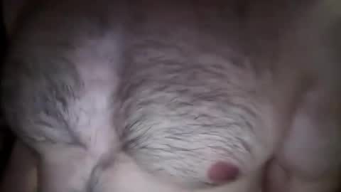 musclehair3 online show from 02.26.25