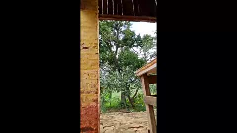 mwmgaara online show from 03.12.26