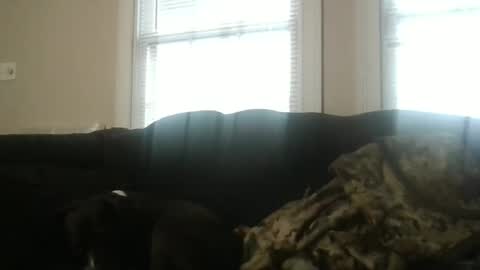 Snapshot of my_banana_creampies chatting on 02.19.26 my_banana_creampies online show from 02.19.26