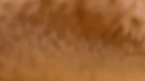 Mya-be Yours P online show from 02.12.25