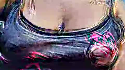 myhoney_hot online show from 02.21.26