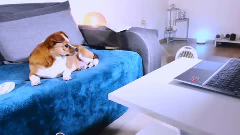 Anda online show from 03.07.25