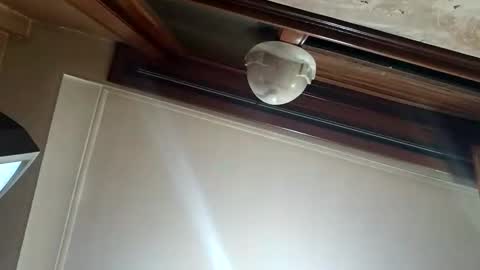 Maruychini online show from 01.15.26