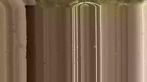 Ricky online show from 11.12.25