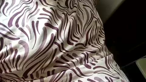 Snapshot of mysolo198777 chatting on 01.16.26 Mysolo1987 online show from 01.16.26