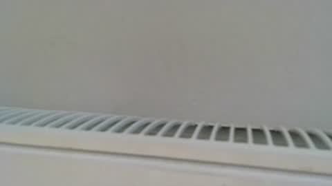 n3philim999 online show from 06.27.26