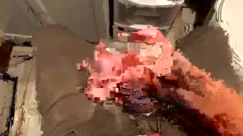 nairda2senoniuq online show from 12.19.25