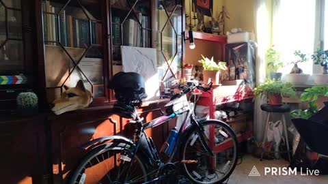 Naked Naturist online show from 04.06.26